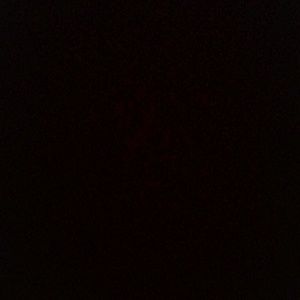 Meet your Posher, Amorette